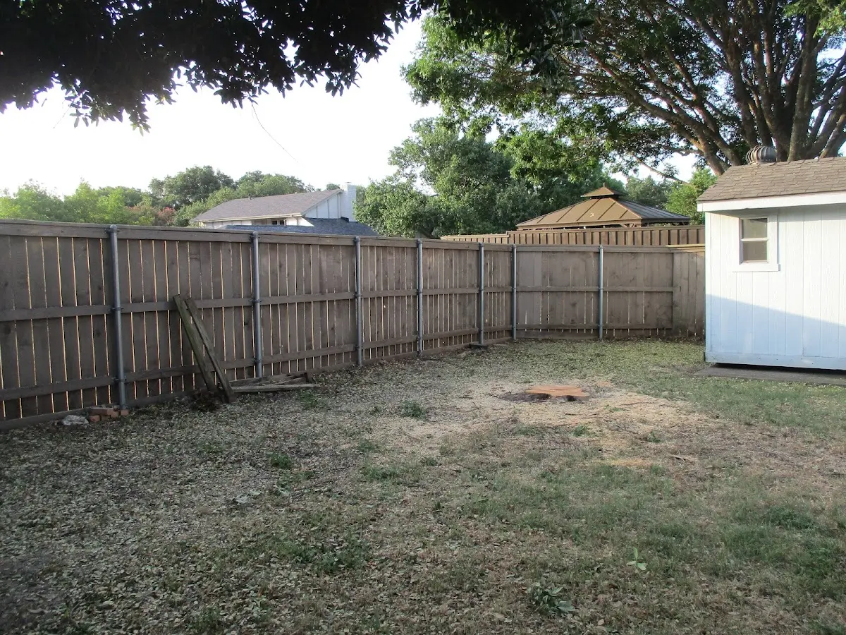 Cleared yard after professional tree removal in Loup City